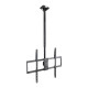 TOOQ - TooQ Soporte de Techo Extensible para Pantallas 50''-100'', Negro - LPCE11100TSLI-B
